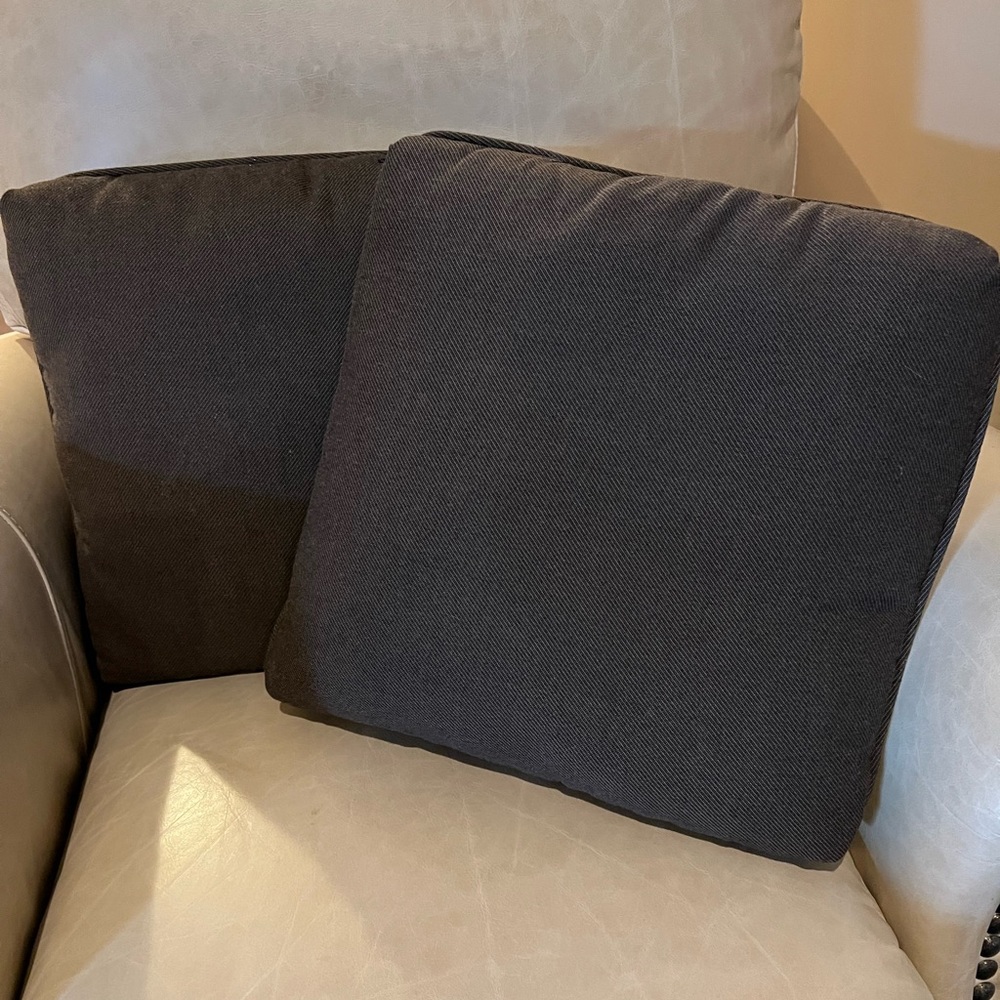 2 NWOT INDOOR OUTDOOR PILLOWS. - Picture 1 of 8